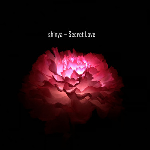 Secret Love
