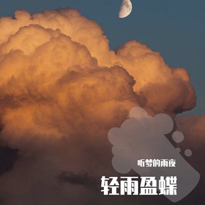 羽蝶 (7)