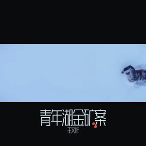 青年湖金矿案