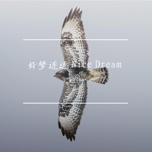 好梦连连 Nice Dream