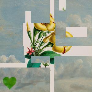 a detailed description of the aura of nature