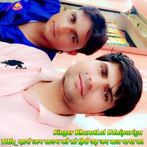 म्हारो लाग साउथ को सो हिरो उड़ जद बाल माथा का