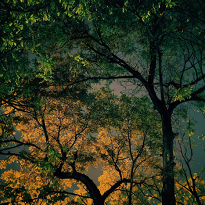 summer & autumn（秋夏之交）