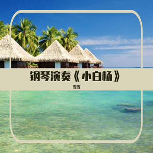 钢琴演奏《小白杨》，琴声悠扬，致敬可爱的边防战士