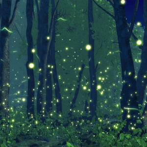 萤火虫在飞舞 (正版)