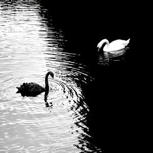 万物生（DJ版）