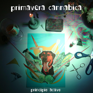 Primavera Cannabica