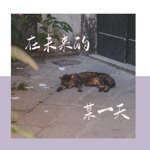 在未来的某一天