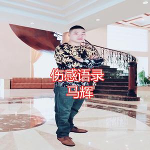 伤感语录之爱你的人_马辉 伴奏 伴奏