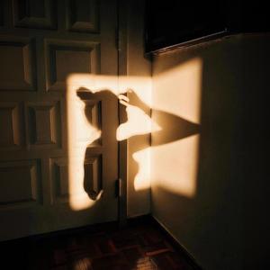 平凡幸福 (DJ版)