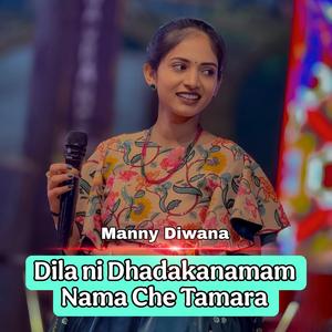 Dila Ni Dhadakanamam Nama Che Tamara