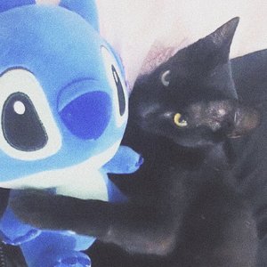 我暗恋你也不是一两天的事了