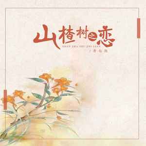 山楂树之恋 (香皂泡版)