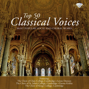 A German Requiem, Op. 45: IV. How Lovely Are Thy Dwellings