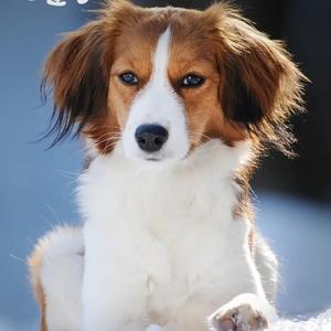 GOLDSTARFM - aziz yar 伴奏