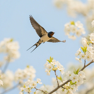 春天春天你来啦