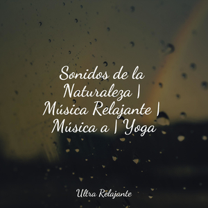 Corriendo En La Arena