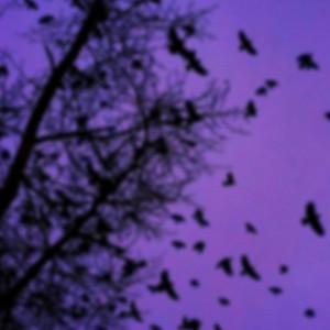 i make music for the contemplators and the manipulators (unfinished)