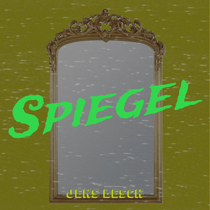 Spiegel