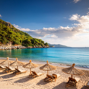 Sonidos Despreocupados Que Se Reúnen