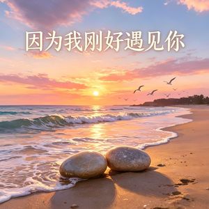 因为我刚好遇见你