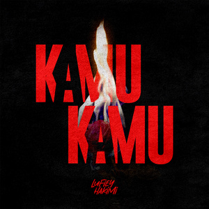 Kamu Kamu