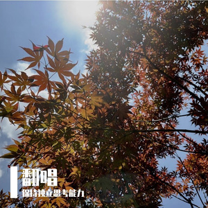 南城小道-整曲 伴奏