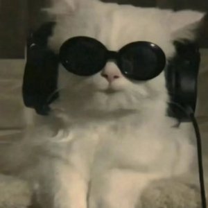 忘记是新de开始