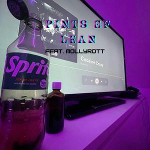 Pints of Lean (feat. mollyrott)
