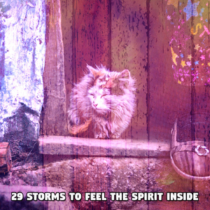 暴风雨之夜关闭