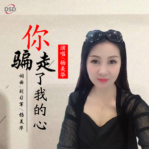 你骗走了我的心 (伴奏)