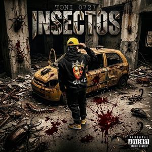 INSECTOS