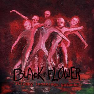 Sześć razy sześć równa się sześćdziesiąt sześć