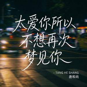 太爱你所以不想再次梦见你（热播版）