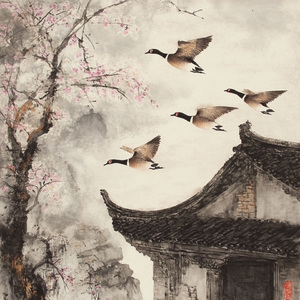 养生金音（疏导肺经 止咳化痰）