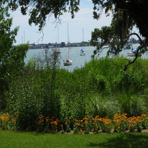 Empty Lives and Lonely Hearts