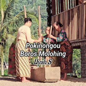 Pokinongou Boros Molohing