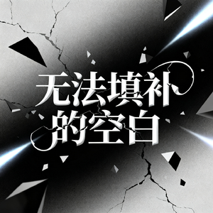 无法填补的空白