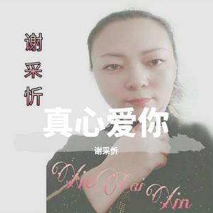 黄梅戏女驸马