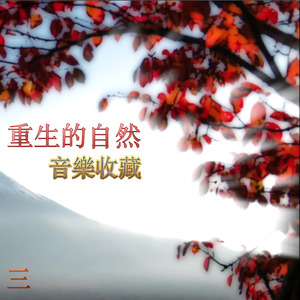 Il collegio (From "In nome del padre")