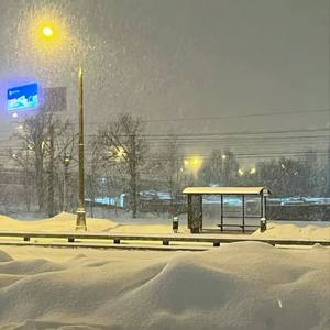 冬天陪在我身边