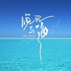 晚风与海 (DJ版)