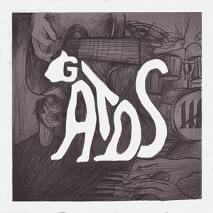 Gatos (Acústico)