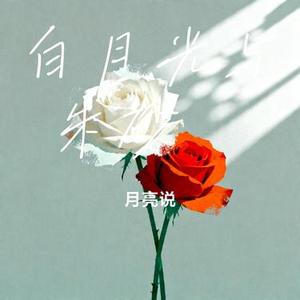 白月光与朱砂痣 (Cover CR3)
