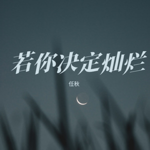 若你决定灿烂