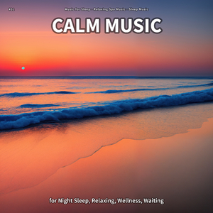 Calm Music, Pt. 1