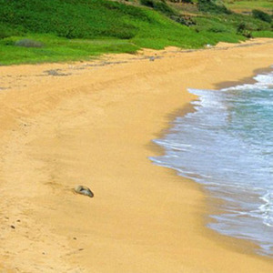 如果现在是在大一的某一个晚上