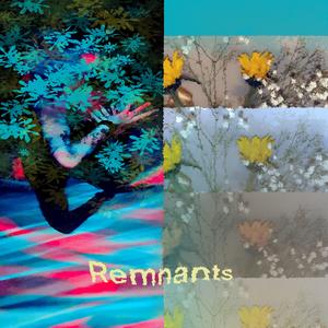 remnants