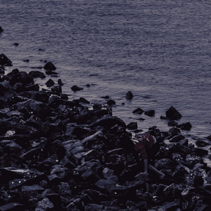 烟火里的尘埃（抖音版）