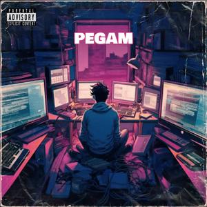 Pegam